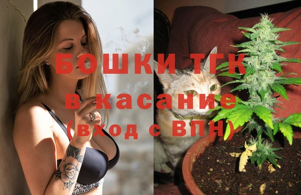 дживик Алексин