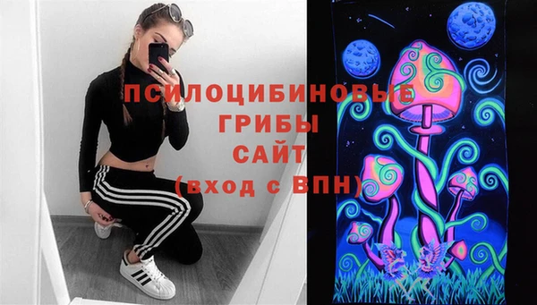 дживик Алексин