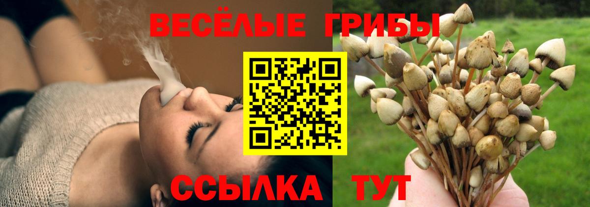 Псилоцибиновые грибы ЛСД  Вход с VPN  Ступино 